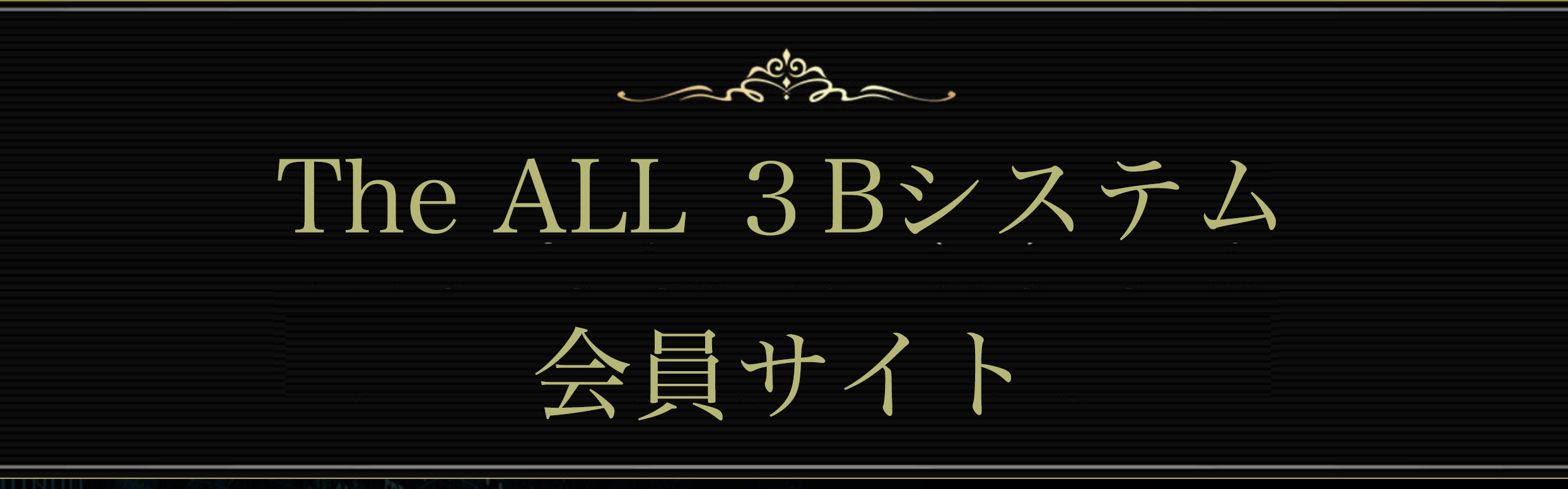 The ALL 3Bシステム